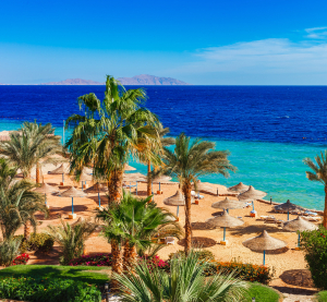 Strand in Sharm El-Sheikh mit Palmen, Sonnenschirmen und t&uuml;rkisblauem Meer.